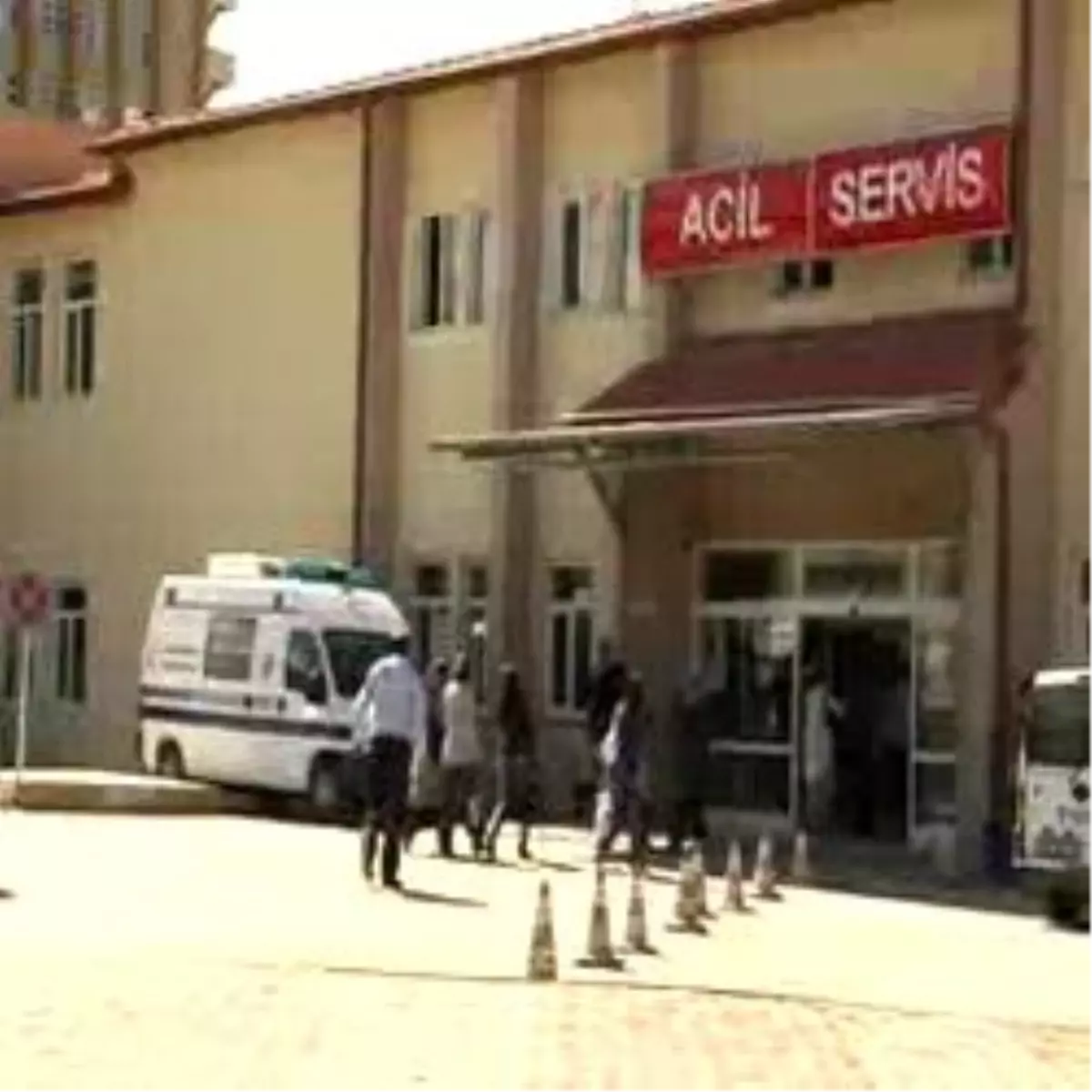 Tokat\'ta Kenenin Isırdığı 2 Kişi Öldü