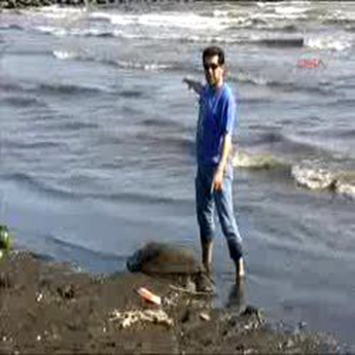 Caretta Sahilde Ölü Bulundu