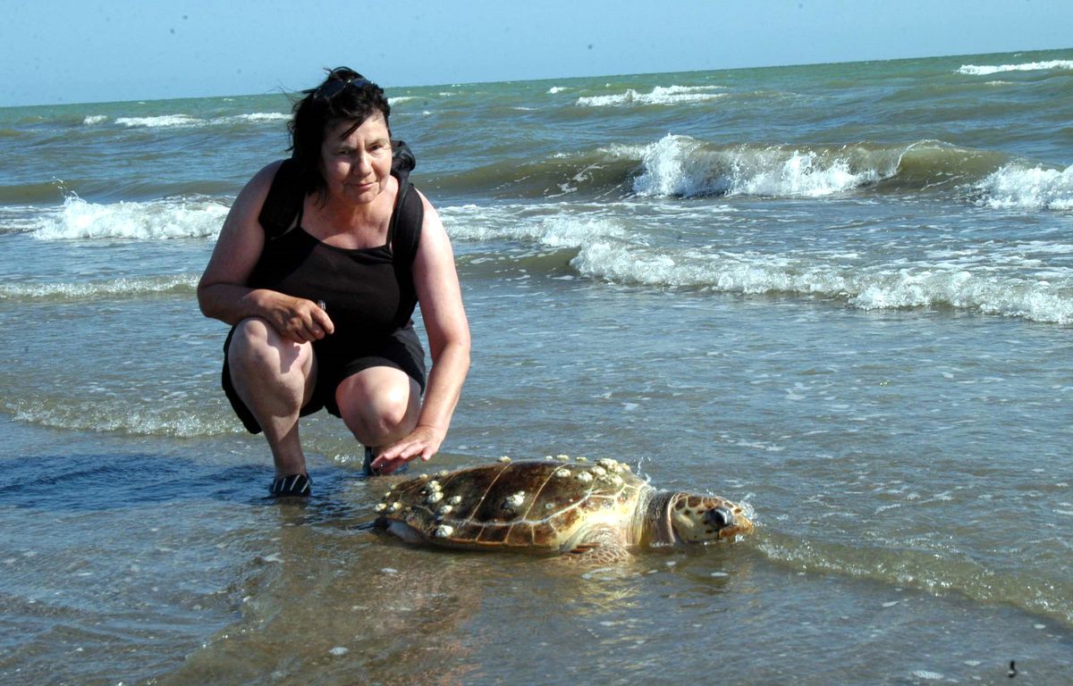 Mersin'de 5 Caretta Caretta Sahilde Ölü Bulundu
