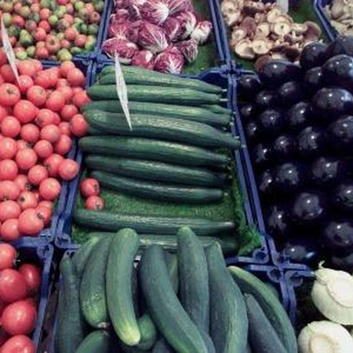 Öldüren Hastalık Yayılıyor