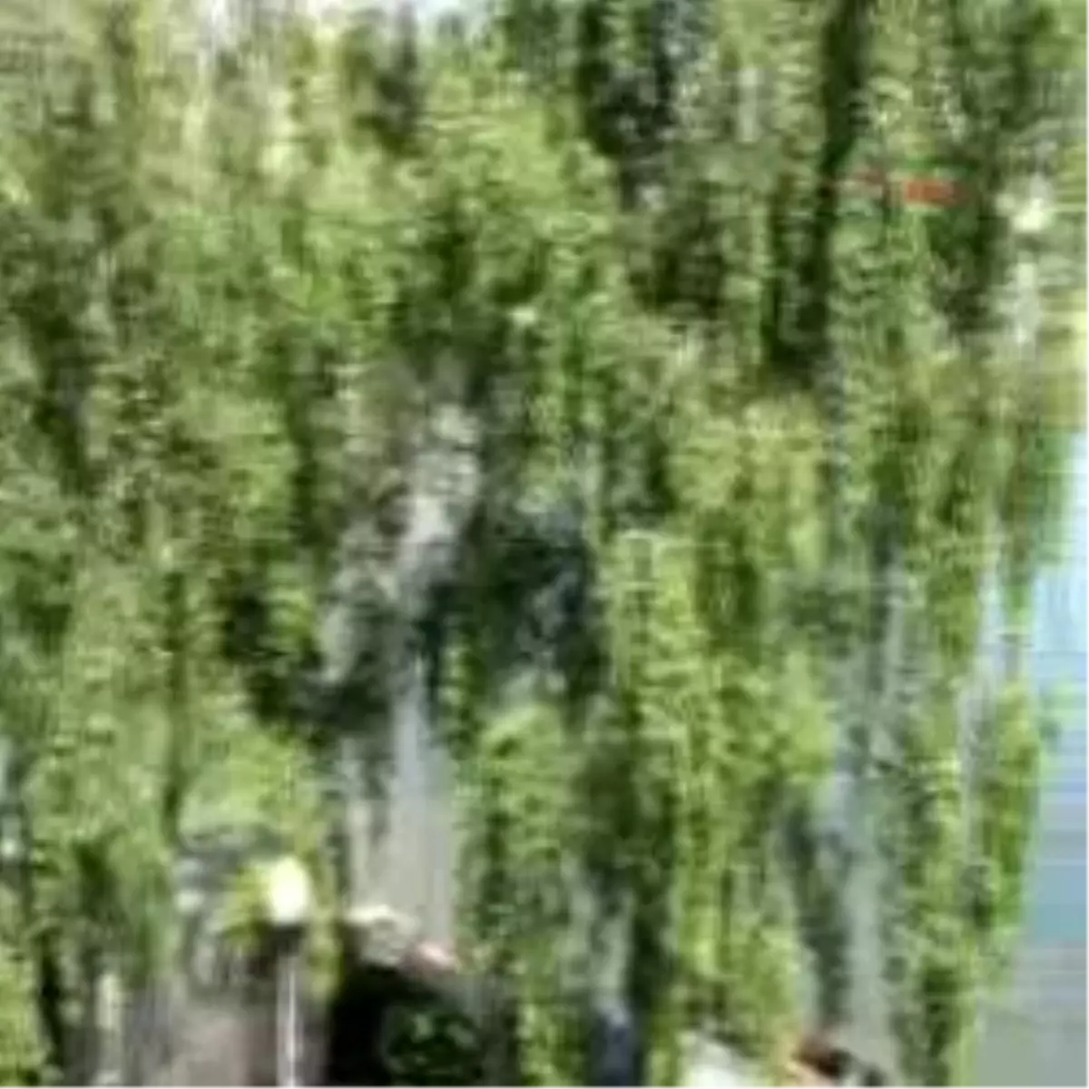 Kopenhag Hafta Sonu Türkiye Olacak