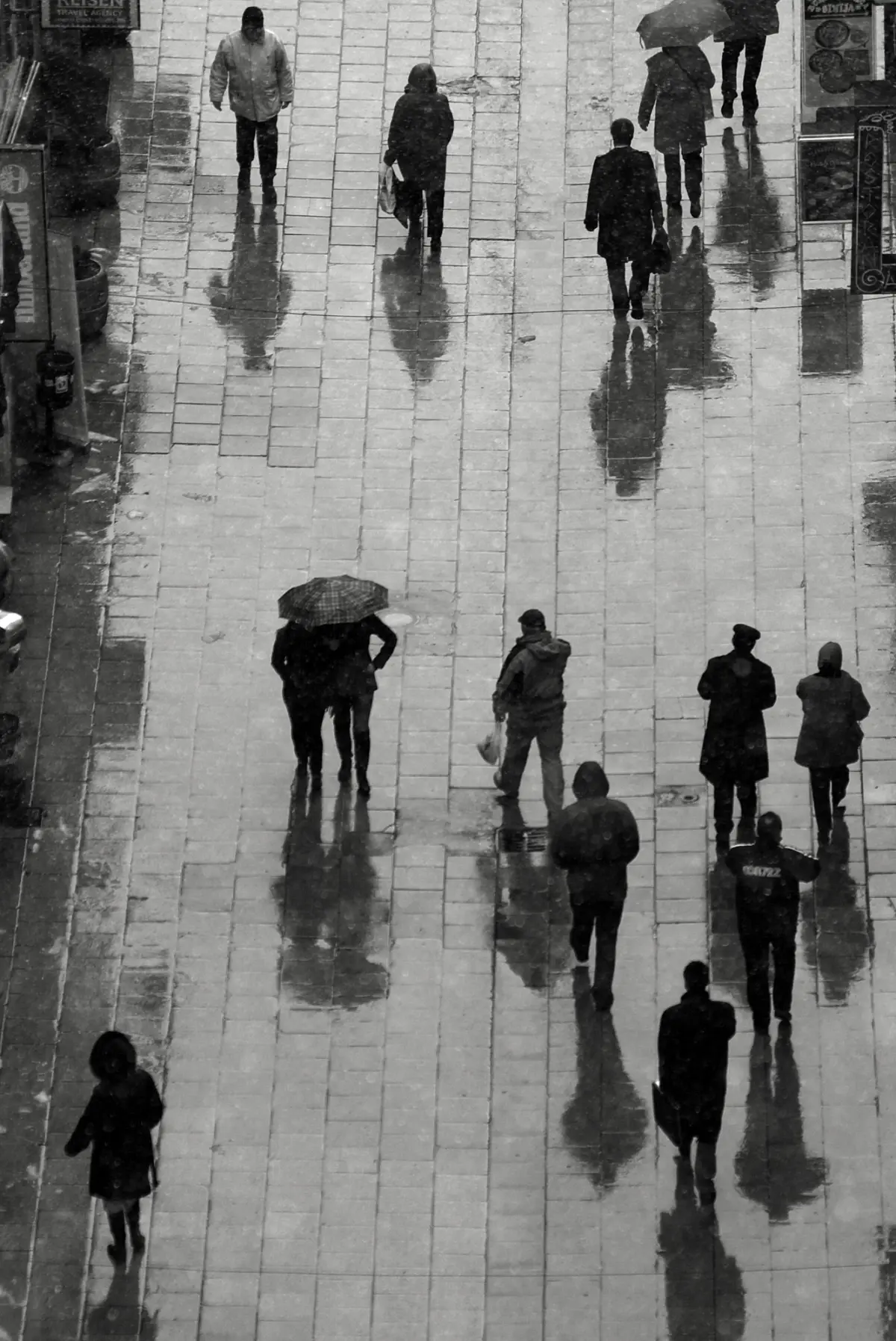Ahmet Hadroviç Açık Hava Hayatları Fotoğraf Gösterisi 