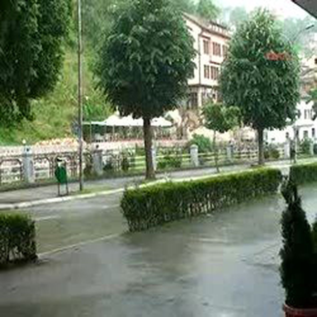 Kosova'da Yıldırım Düştü: 30 Hayvan Telef Oldu