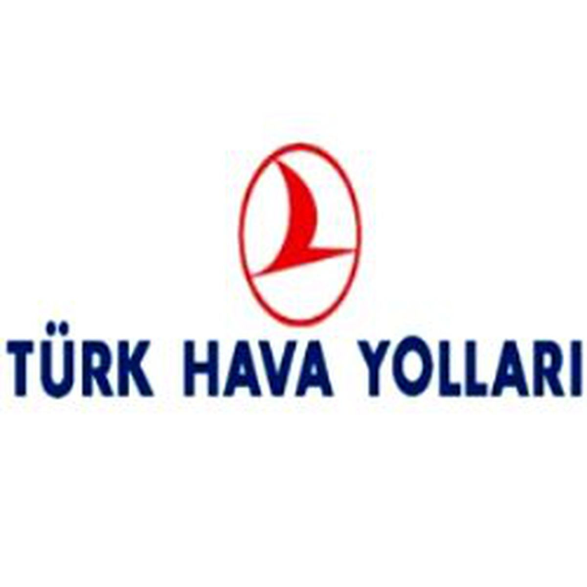 THY'den, Ortak Şirket Kurma Kararı