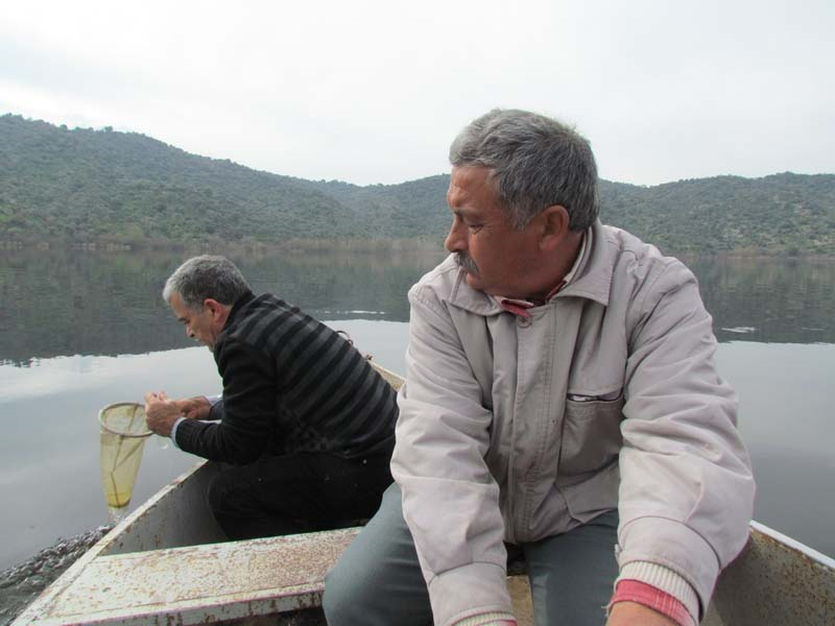 Azap Gölü'nde Toplu Balık Ölümleri Erken Başladı