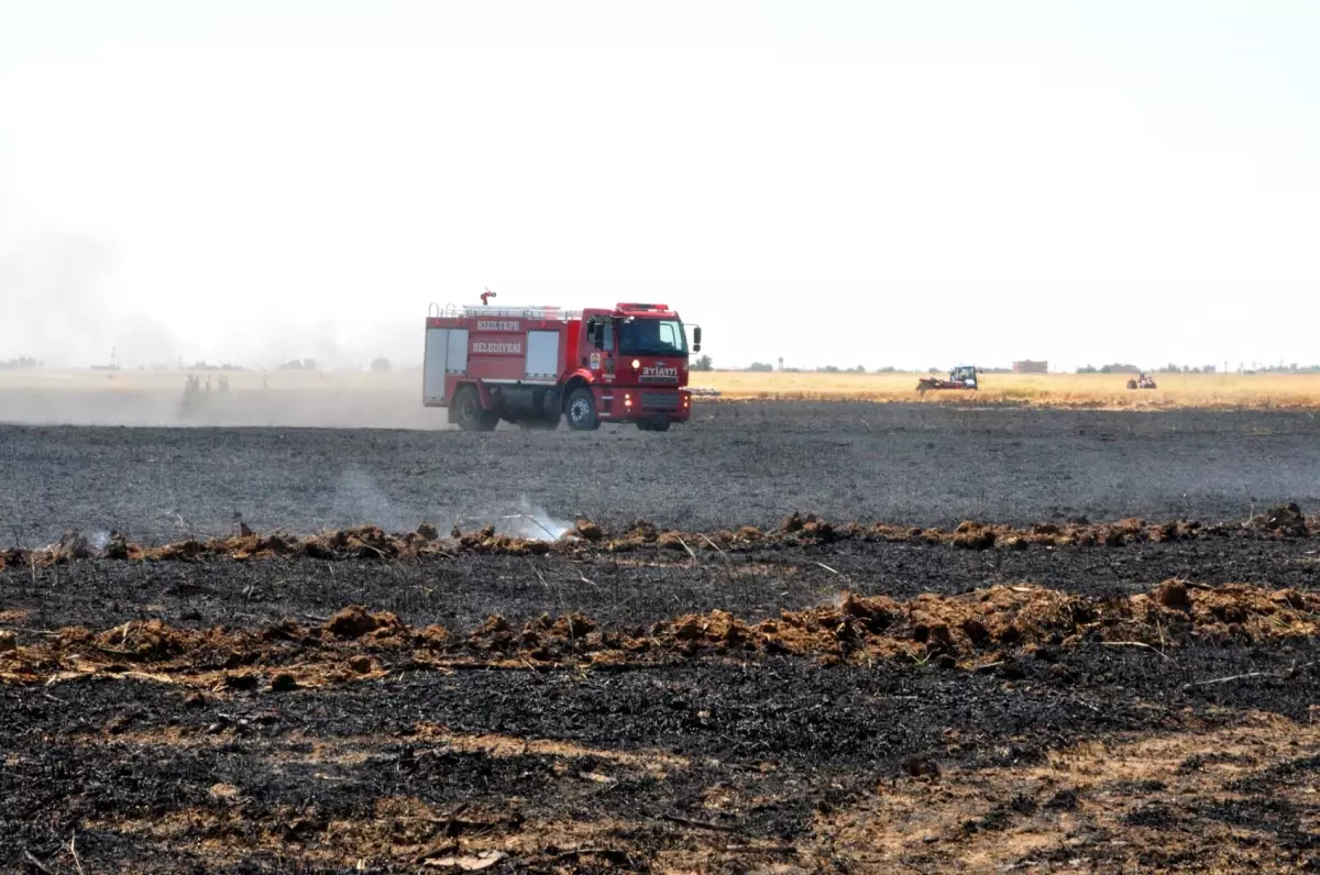 100 Dönümlük Buğday Tarlası Kül Oldu