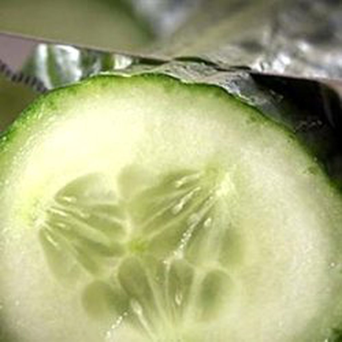 Salatalıktaki 'Ehec' Bakterisi