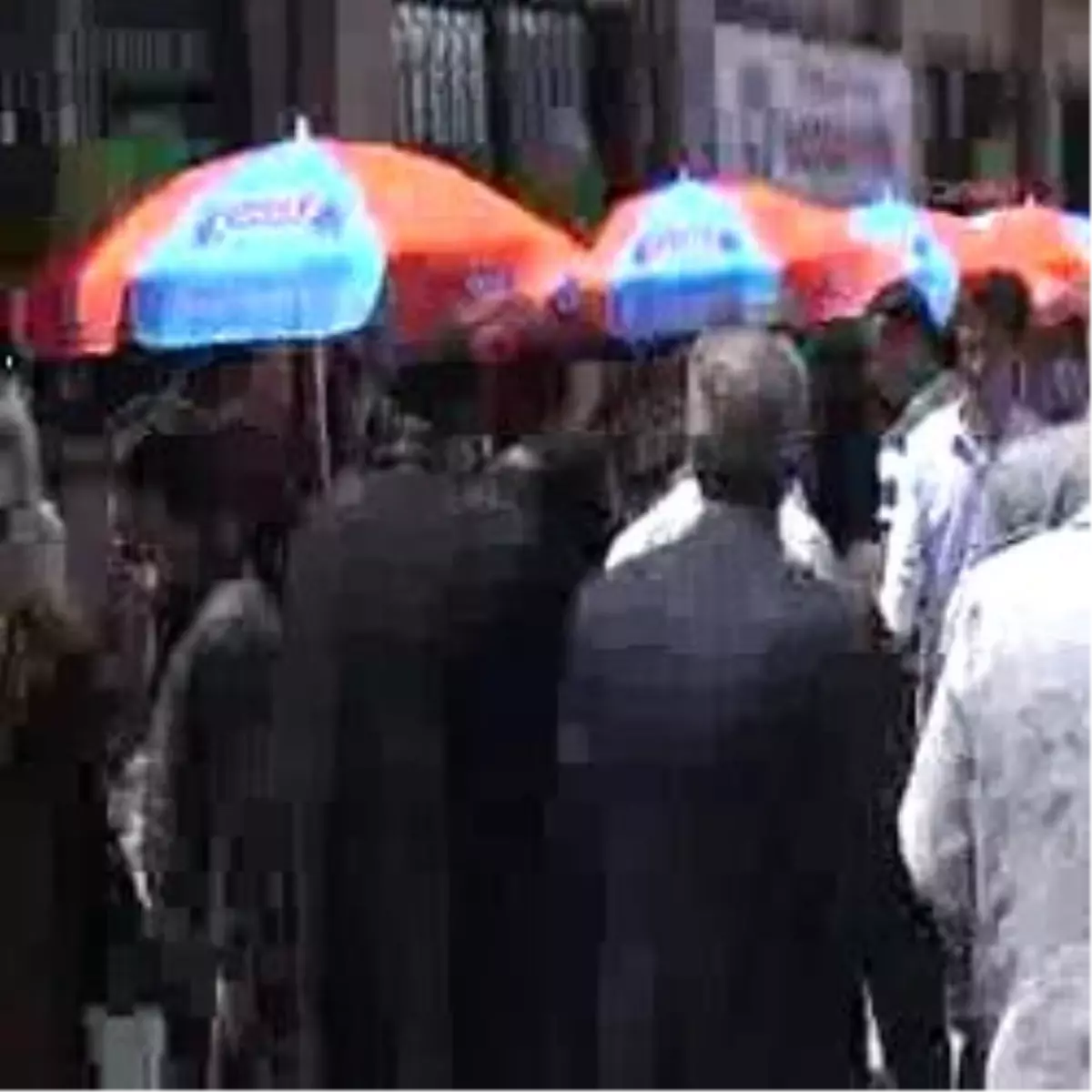 Yaprak Sarmasının Tanesi 50 Lira