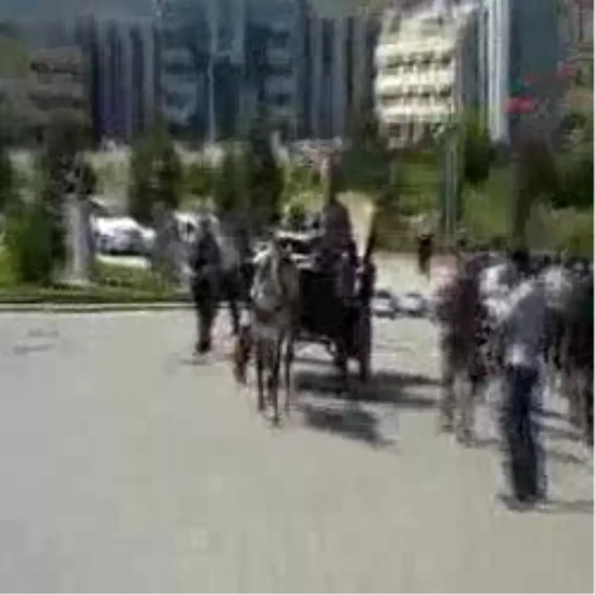 YÖK Başkanı Özcan Yabancı Öğrenci Sayısının Artmasını İstedi