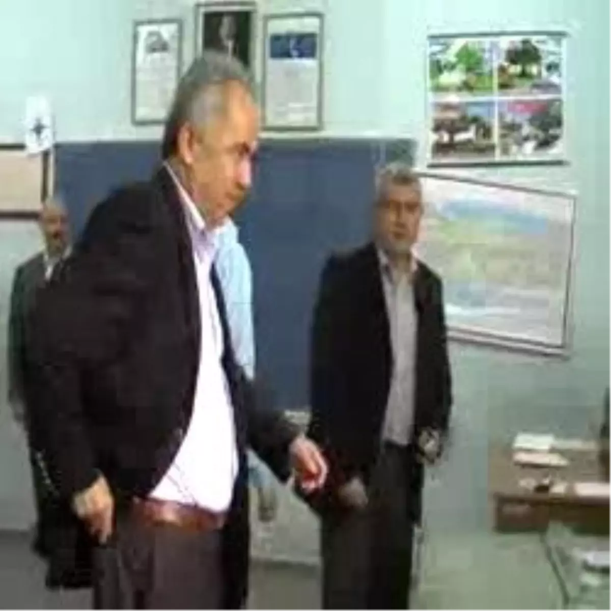 Yalova Sandık Başında