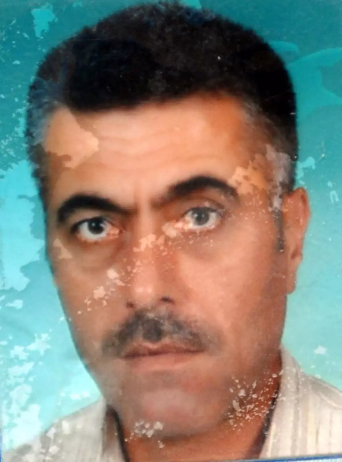 Amca Katiline 25 Yıl