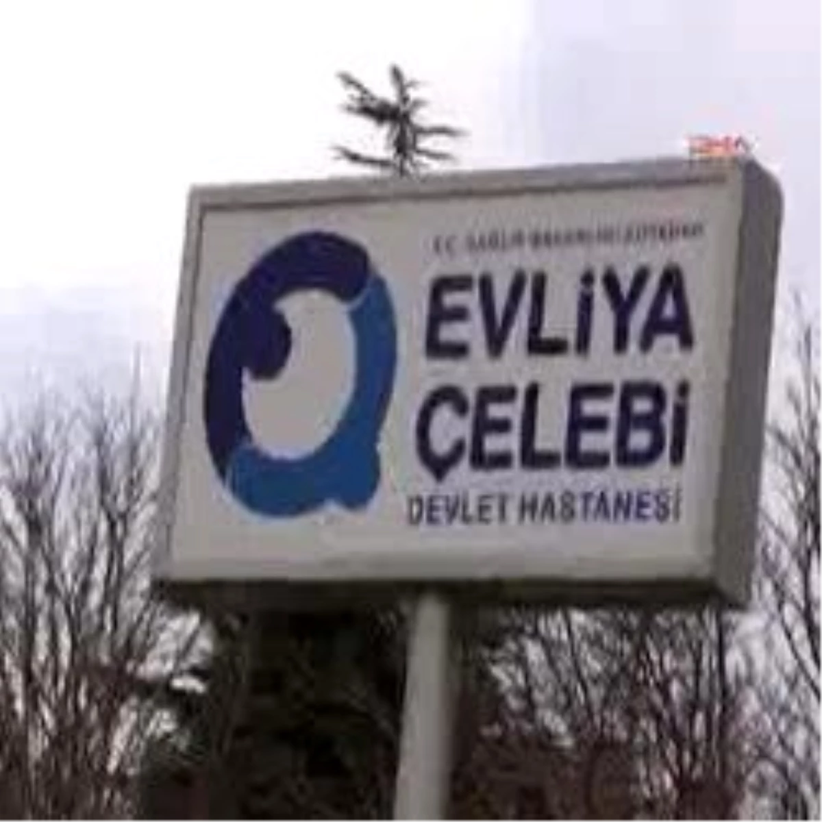 Siyanür Suya Karıştı, 5 Kişi Zehirlendi, Hayvanlar Telef Oldu İddiası