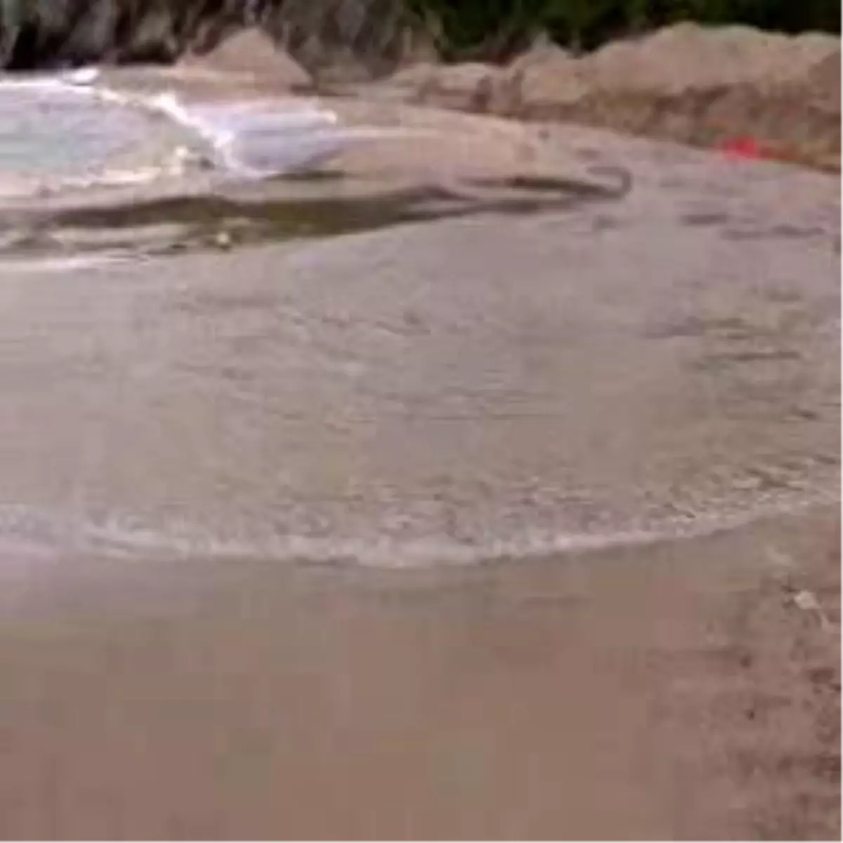 Kabakoz Plajı Tehdit Altında