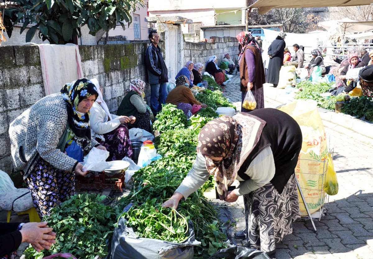 Yetiştirdikleri Ürünleri Satıyorlar