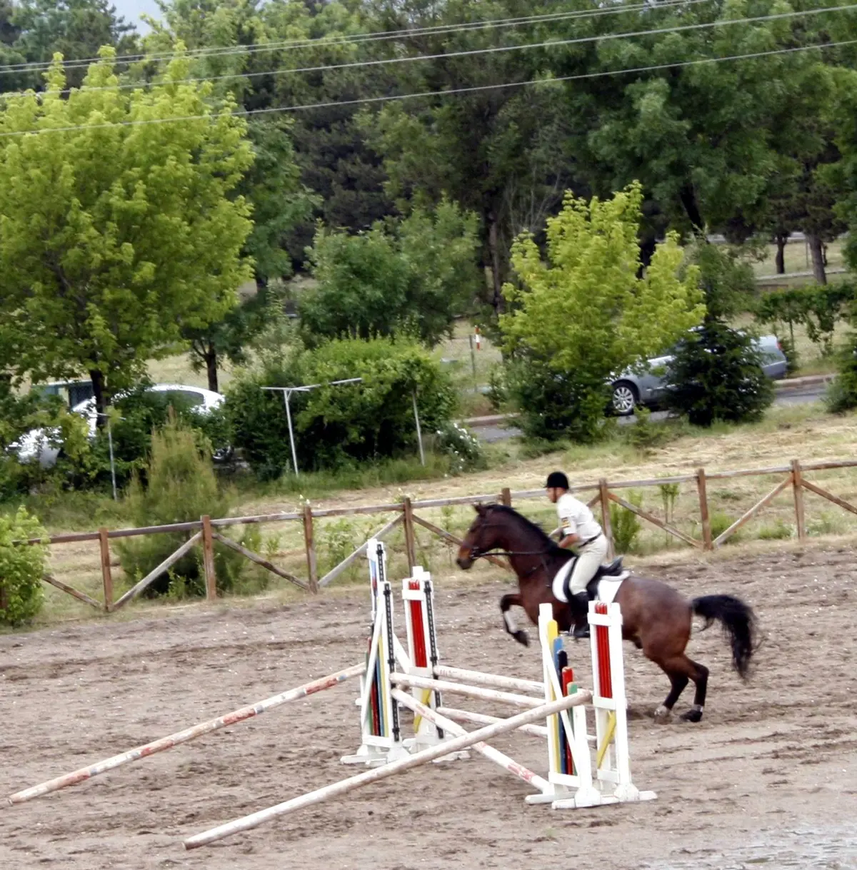 Jandarmada Atlı ve Köpekli Gösteri