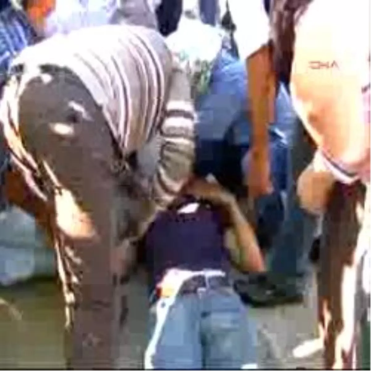 Sara Krizi Kaza Yaptırdı