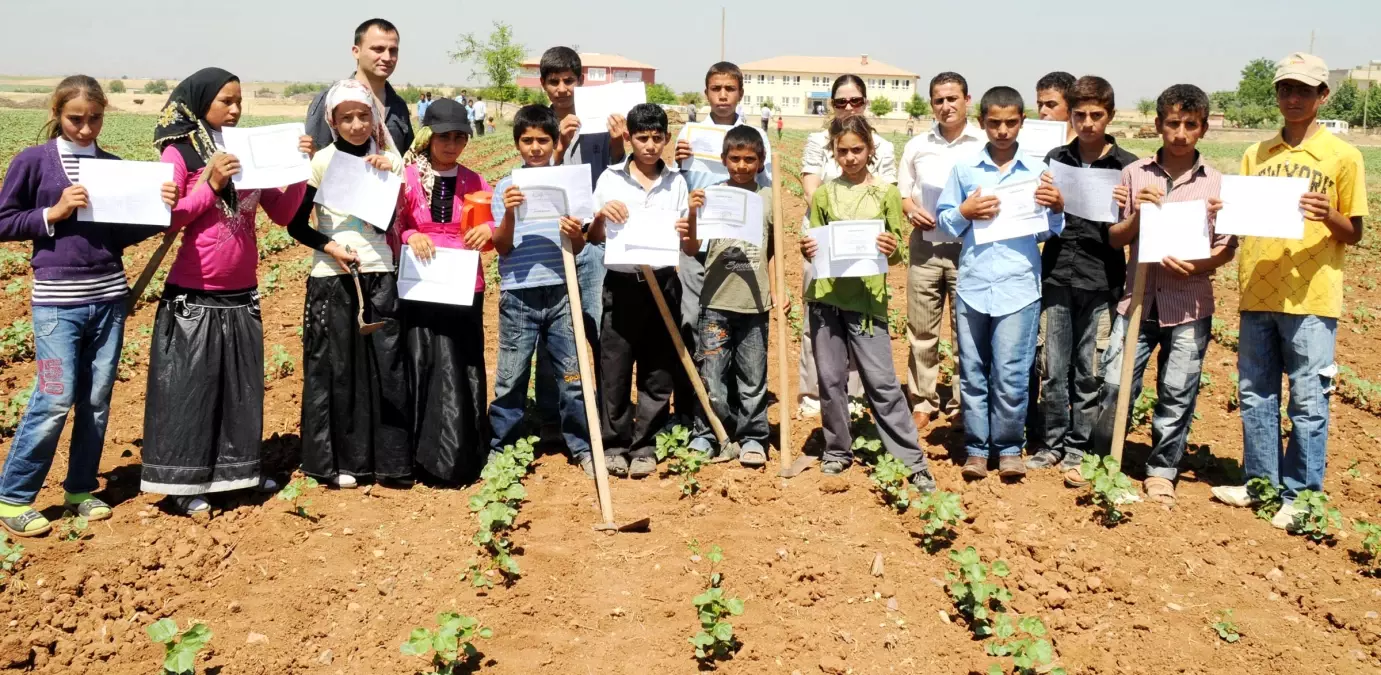 Bu Öğrenciler Karnelerini Tarlada Aldı