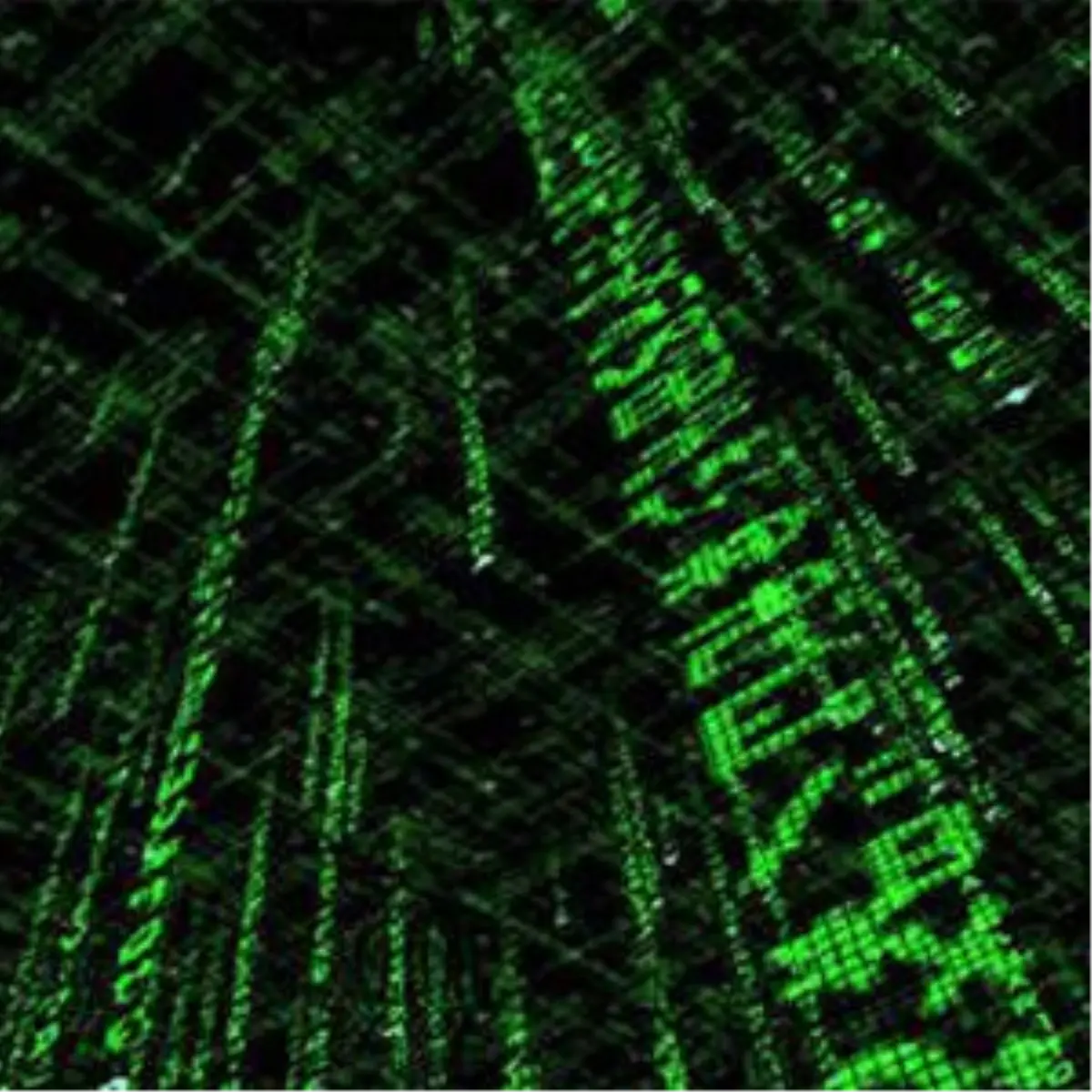 60 Bin Kişinin Şifresi Dünyaya Dağıtıldı