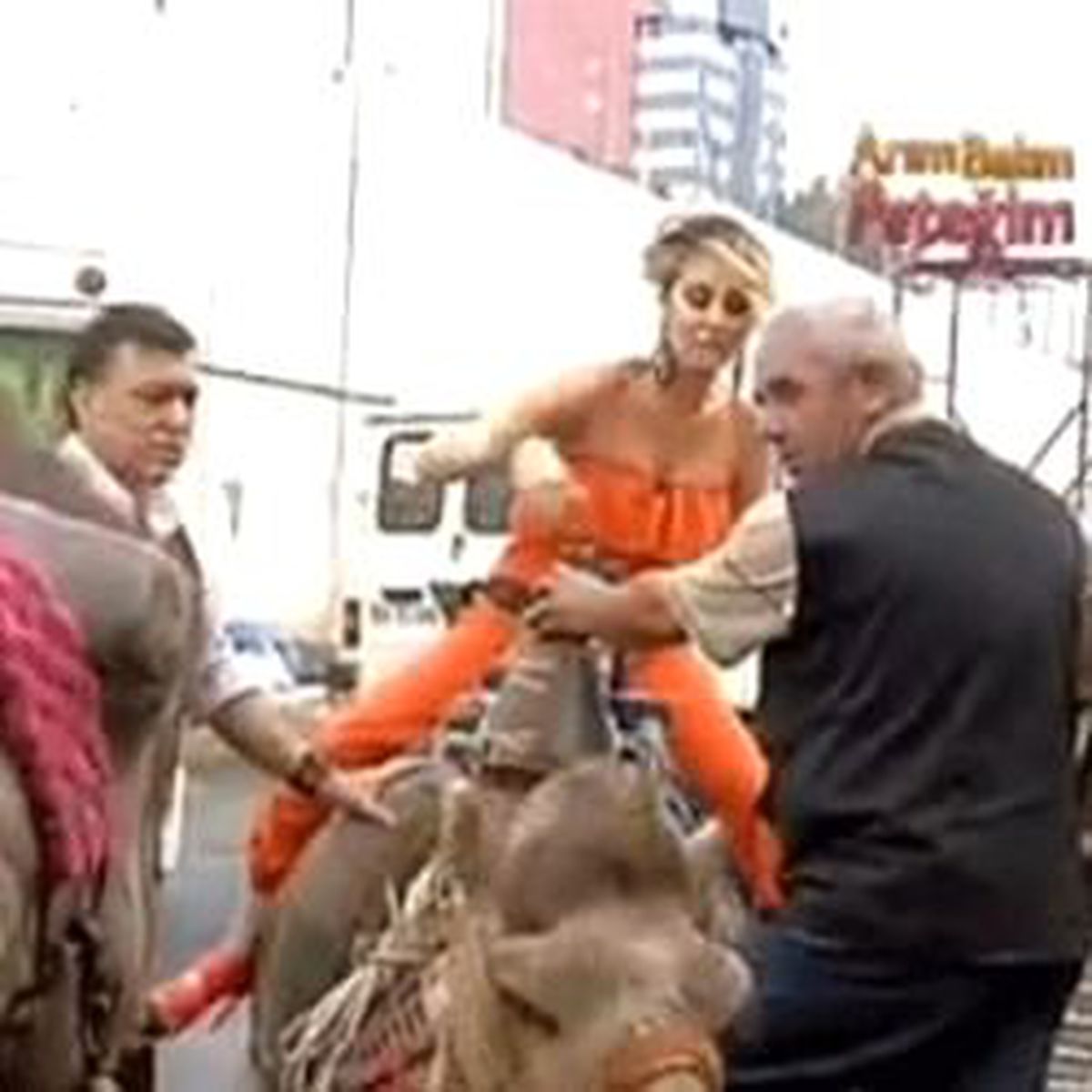 Petek Dinçöz Canlı Yayında Deveye Bindi

