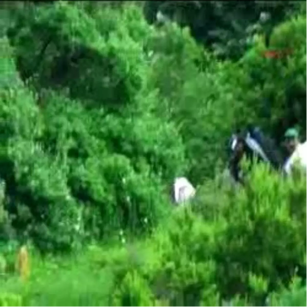 Yamaç Paraşütüyle Ormana Düştü, Ağaçlar Hayatını Kurtardı