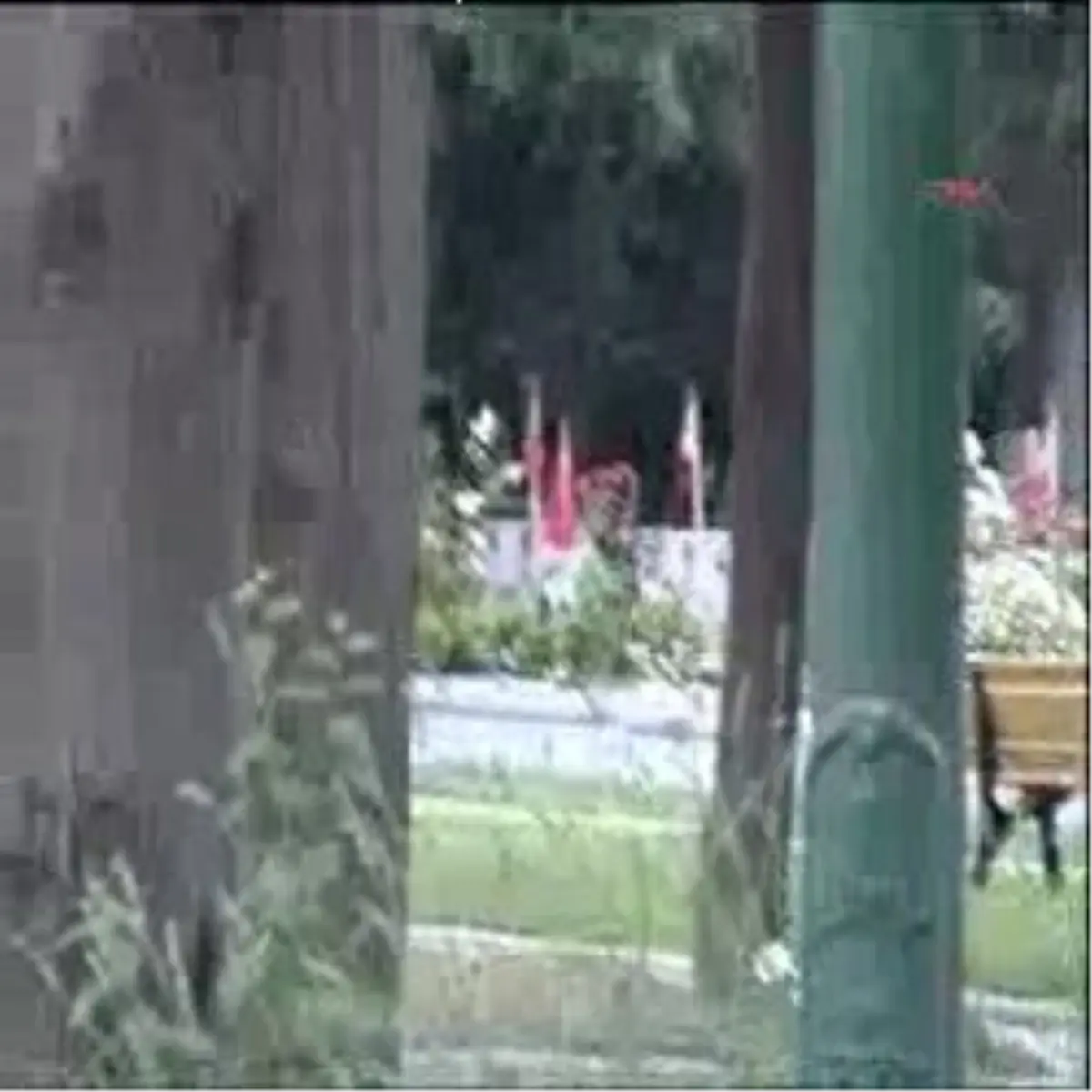 Buruk "Babalar Günü"