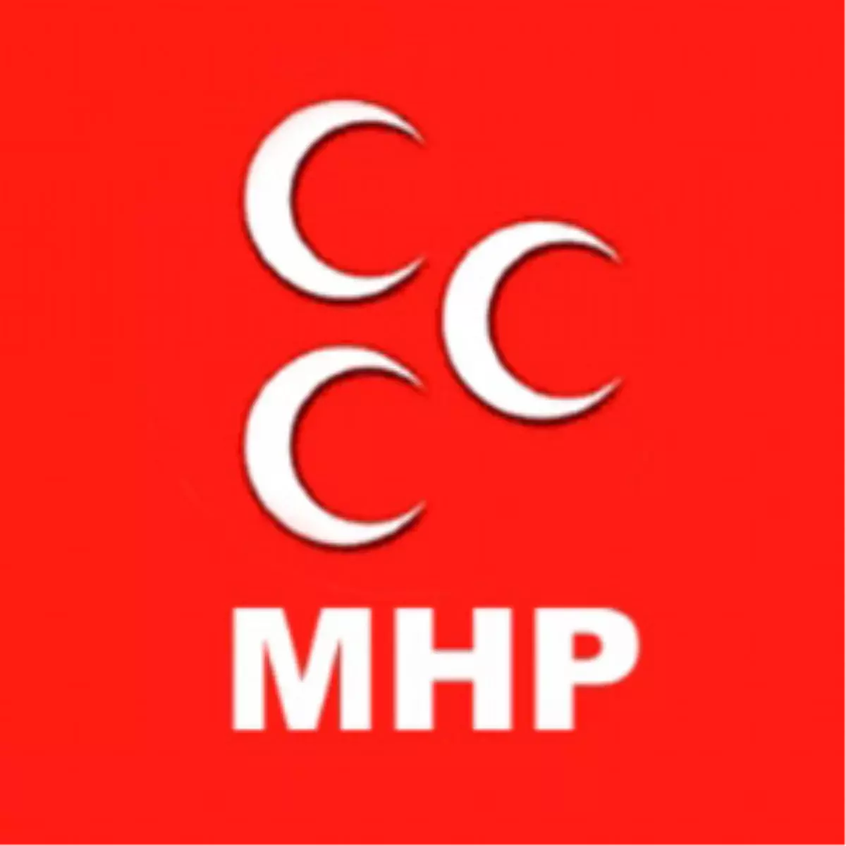 MHP'nin İlk Kadın Genel Başkan Yardımcısı