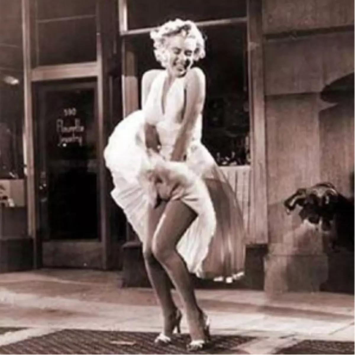 Bu Elbise Tam 4, 6 Milyon Dolar