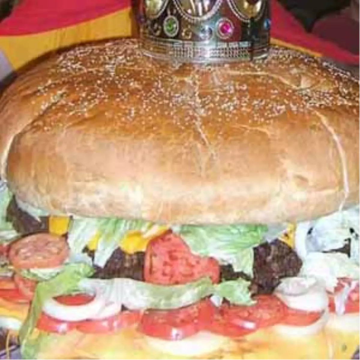 Dev Hamburger Hollanda'da Yapıldı