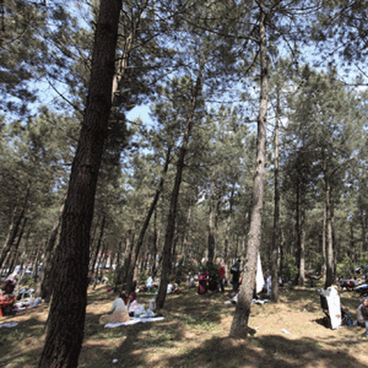 Ümraniye Mesire Alanı Muhteşem Katılımla Açıldı