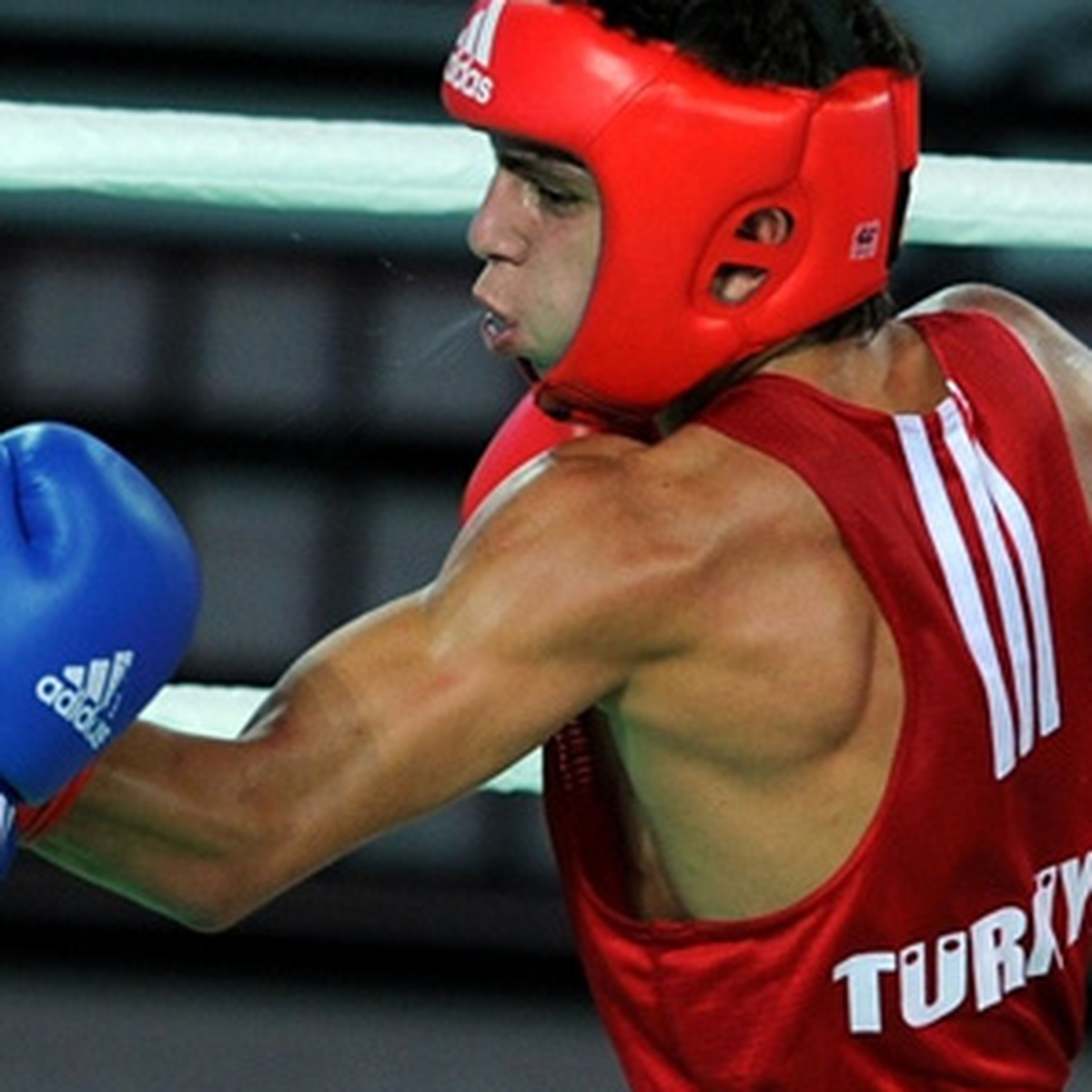 Boksta Türk Rüzgarı