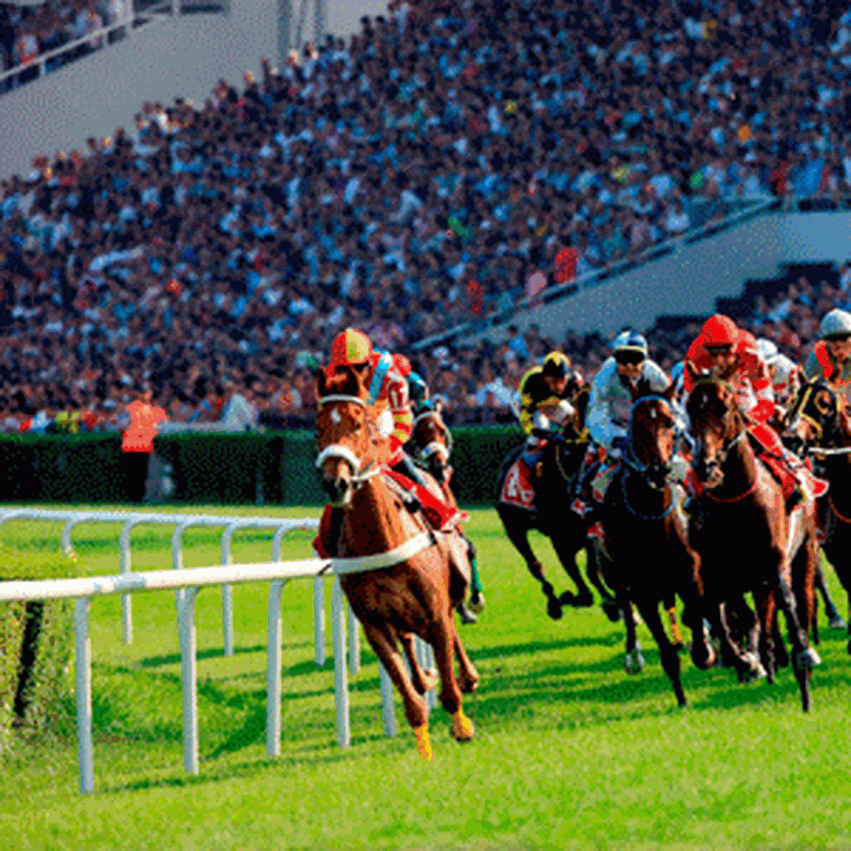 Dıgıturk'ten Yine Bir İlk