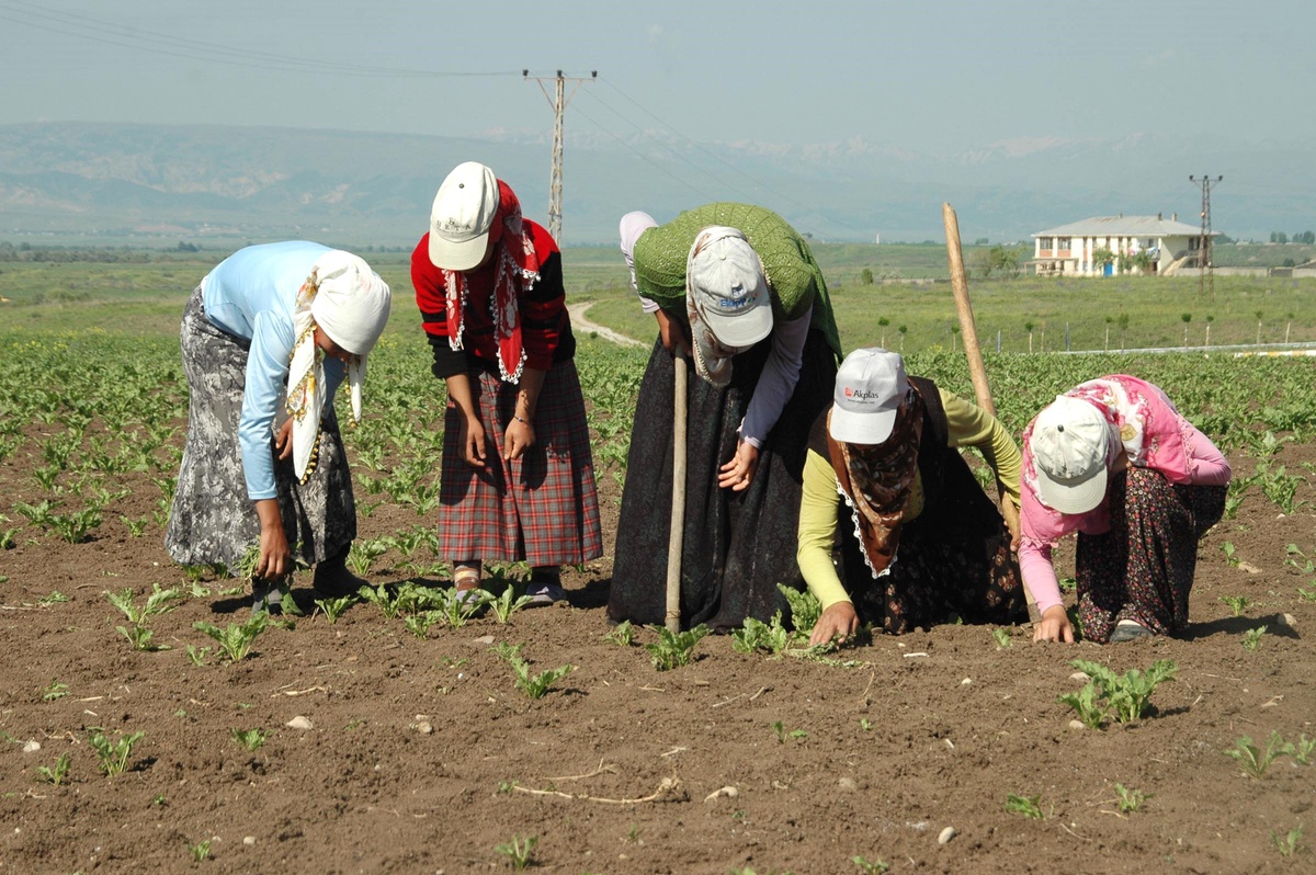 Kızlar Ailelerine Destek İçin Çapa Yapıyor