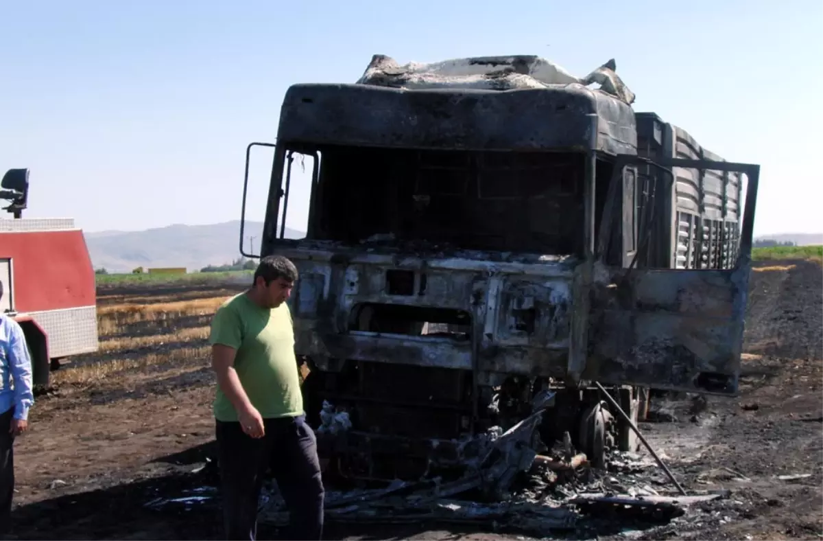 Kahramanmaraş\'ta Orman ve Tarla Yangını