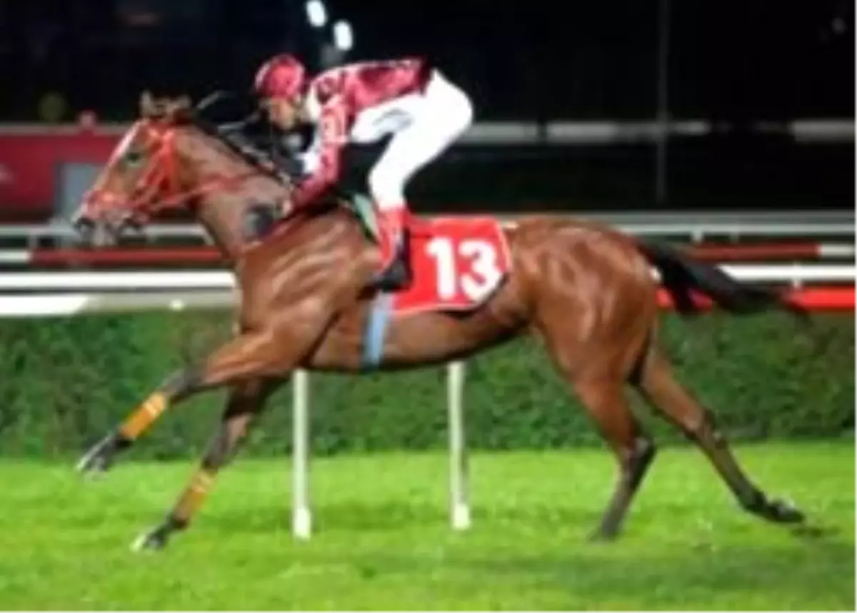 Dev Koşu Öncesi Heyecan Artıyor