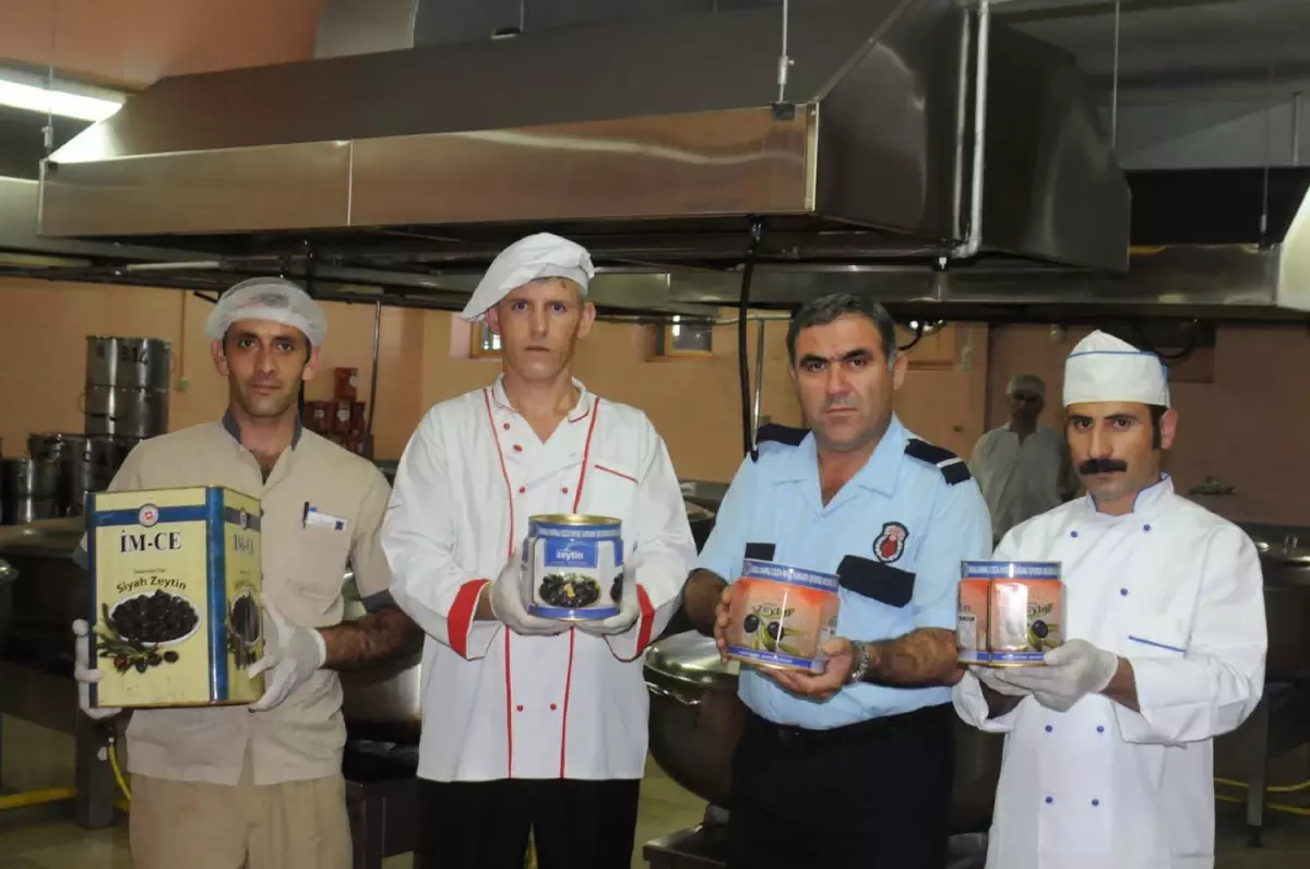 İmralı\'nın Zeytinleri Cezaevlerine