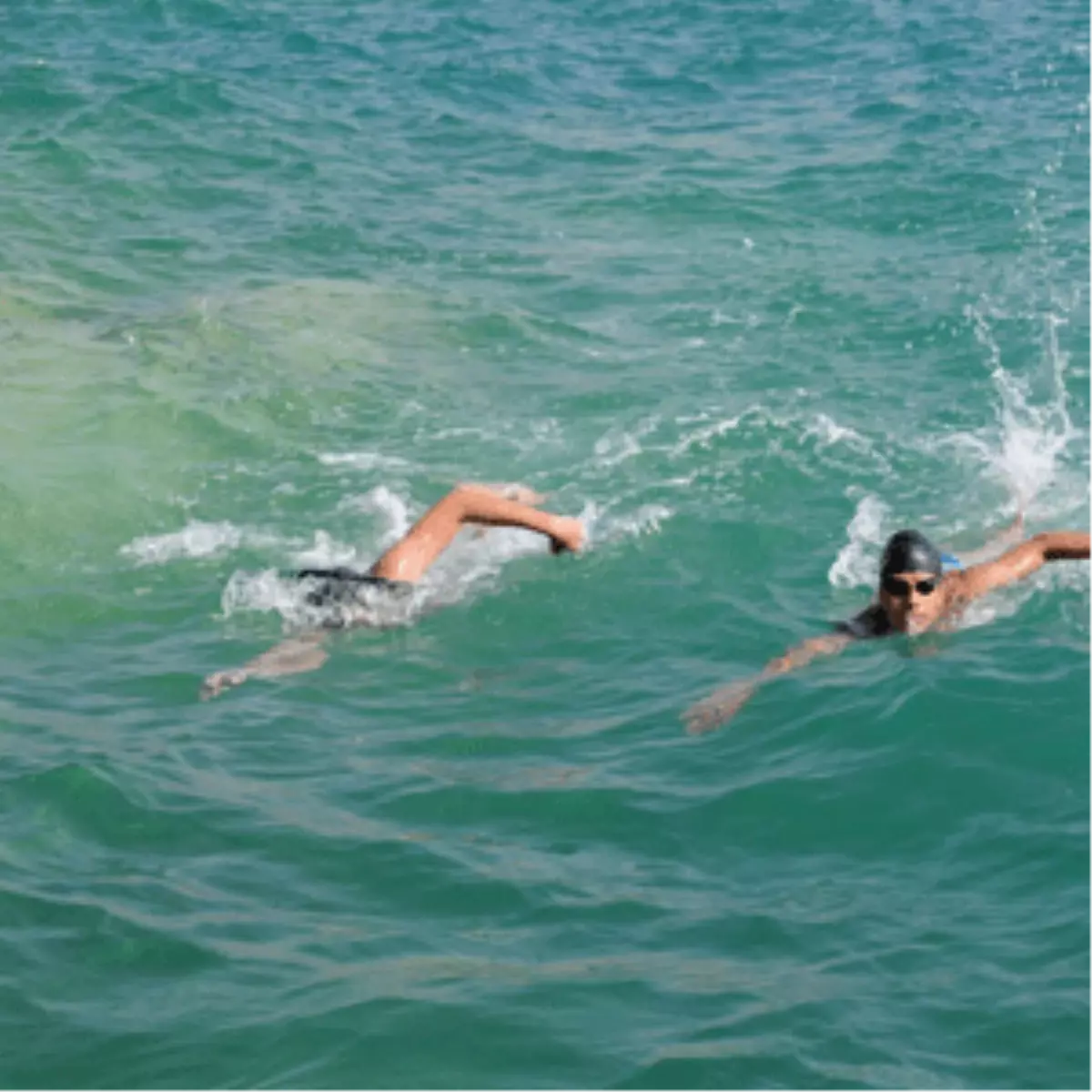 Ahtamara Aşkına Kulaç Attılar