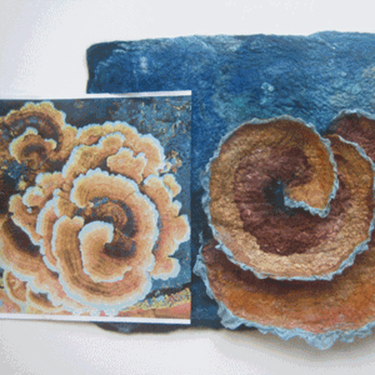 Çamtepe’de Bir Geleneksel Sanat Keçe Atölyesi
