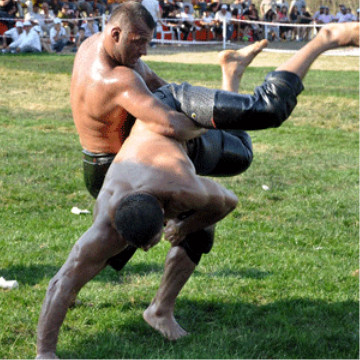 Çatalca Belediyesi 12. Erguvan Festivali Başlıyor