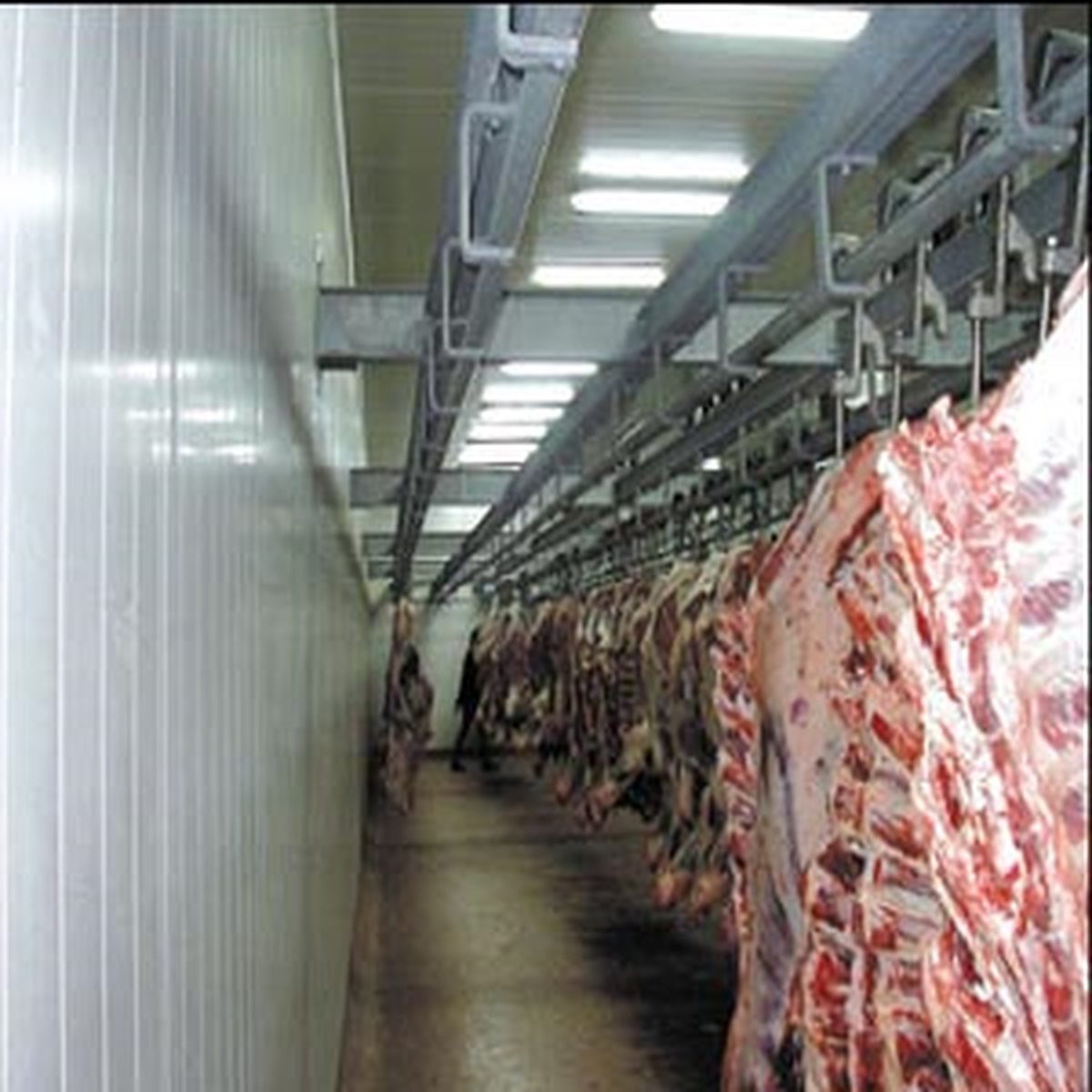 Hollanda 'Helal Kesimi' Yasaklıyor