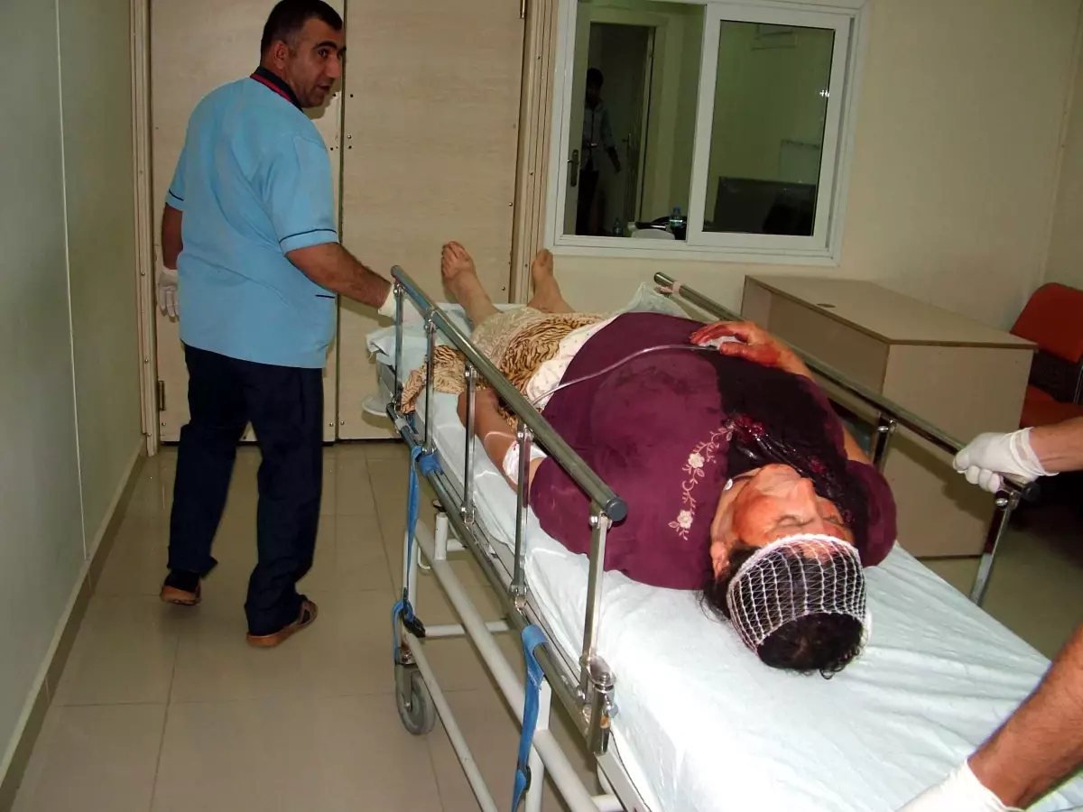 Nusaybin\'de Anız Yakma Kavgası: 12 Yaralı