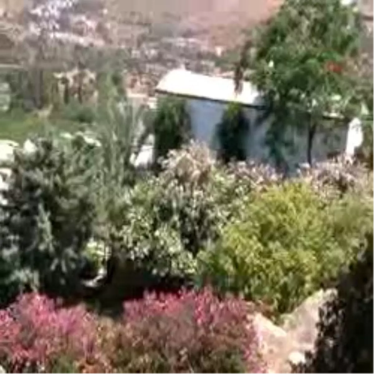 Sosyetik Çift Burada Evlenecek