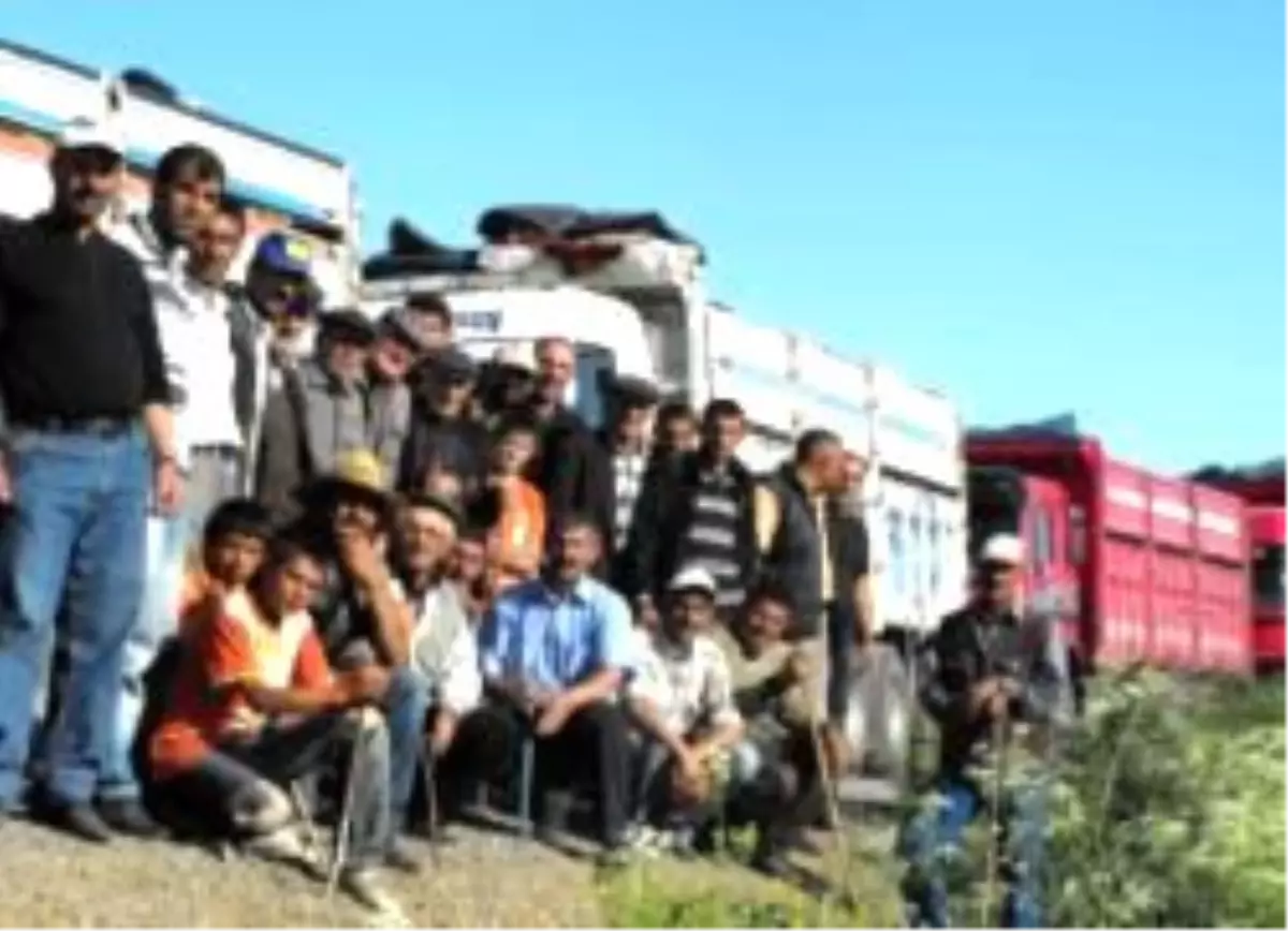 Kars\'ta Mera Gerginliği