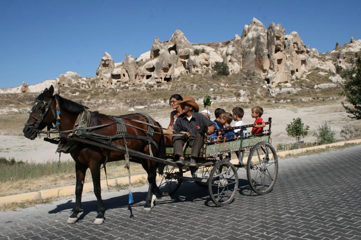 At Arabası ile Kapadokya Turu