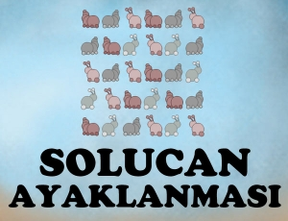 Solucan Ayaklanması Oyunu