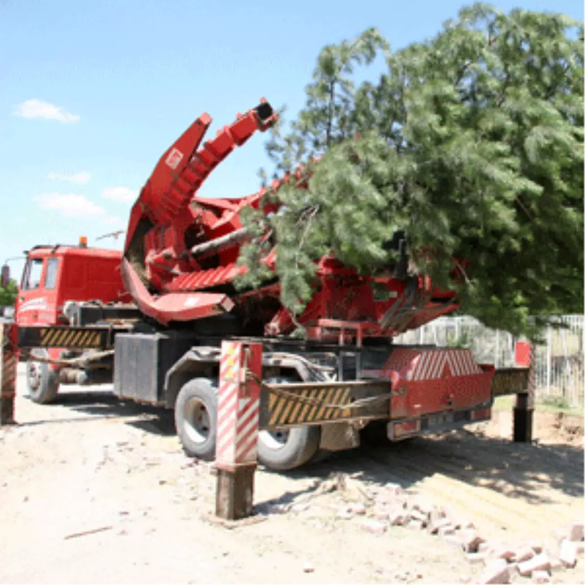 Ağaçlar Naklediliyor