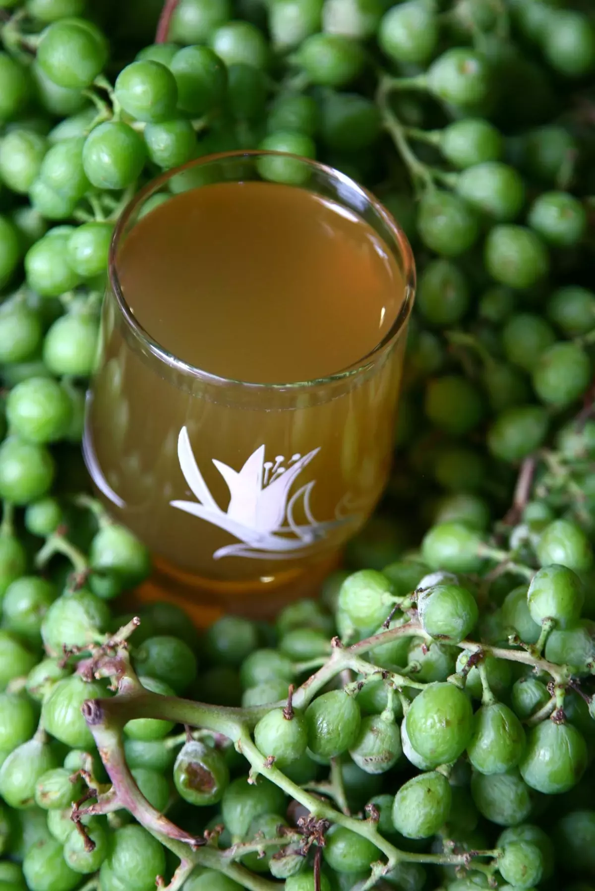 Koruk Suyu Her Derde Deva