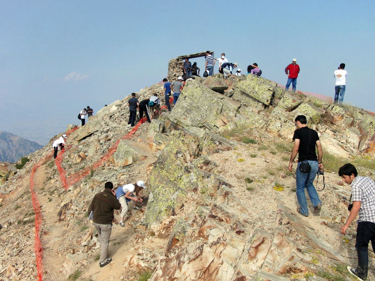 Zirvede, Uğur Böcekleri İçin Şenlik