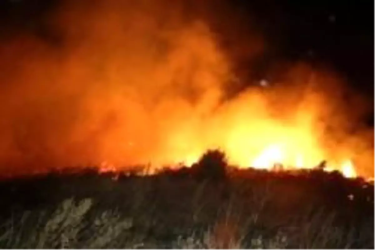 Anız Yangını 300 Dönümü Kül Etti