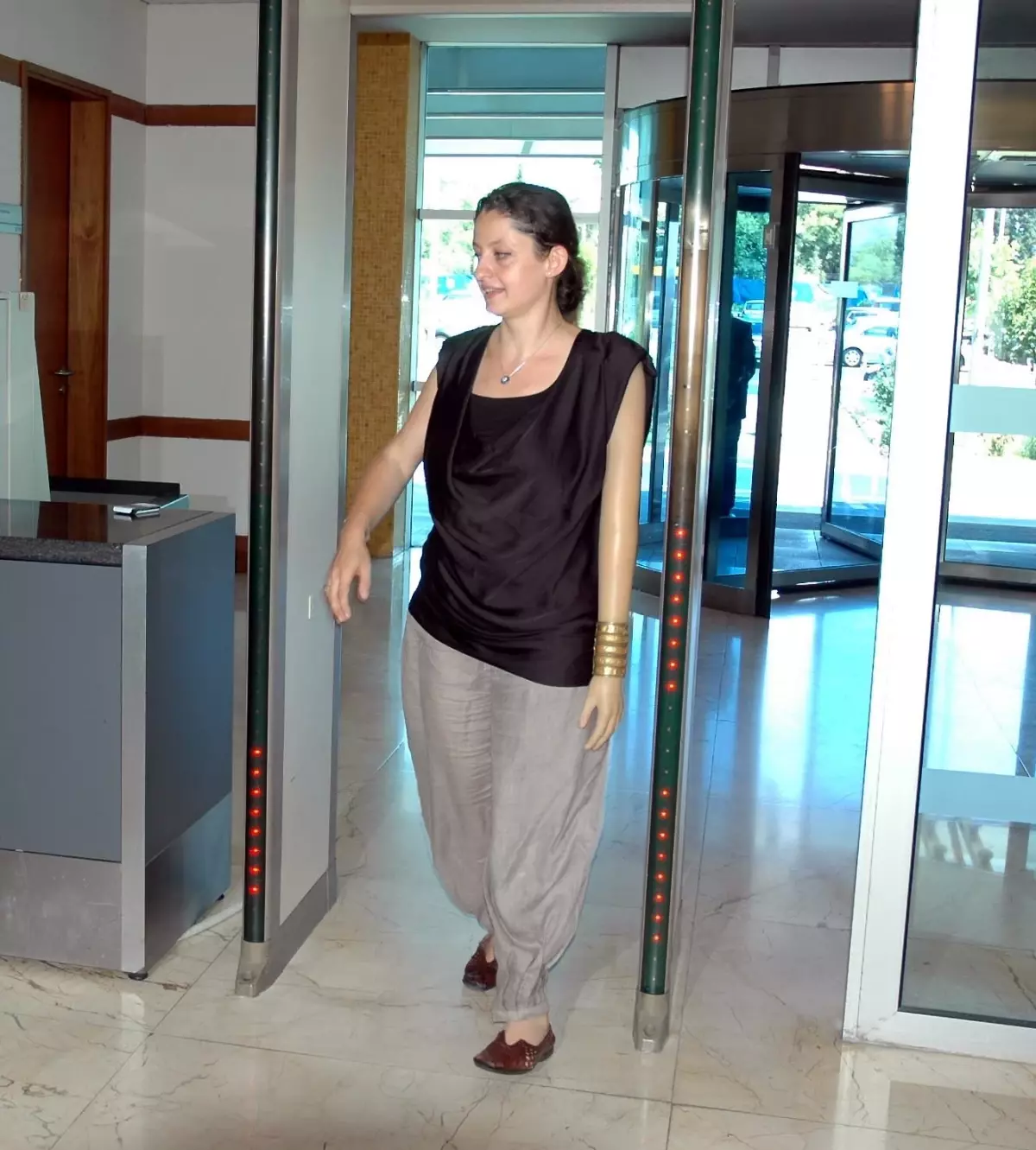 Şafak Pavey, Meclis Bahçesine Kaplumbağa ve Tavus Kuşu İstedi