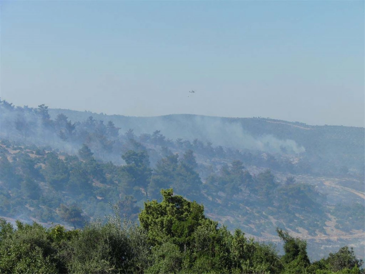 Çanakkale\'de Makilik Alan ve Tarım Arazisinde Yangın